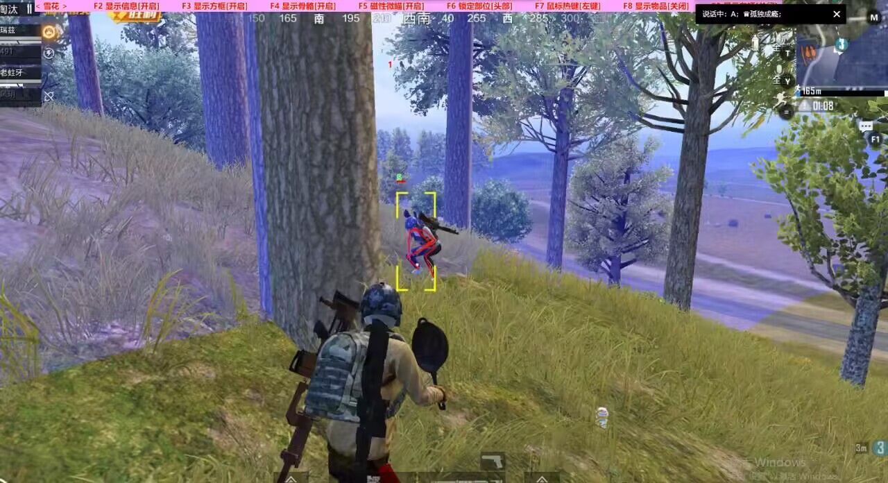 和平精英辅助【骑士直装】【雷神直装】范围打击 雷达预警 皮肤美化  掩体变色 漏打追踪 范围追踪